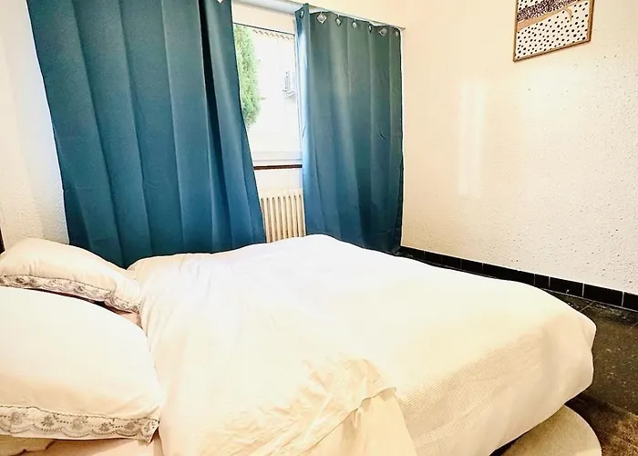 Les Fleurs De La Cite - T3 Parking Prive Et Terrasse Jardin Prive * カルカソンヌ