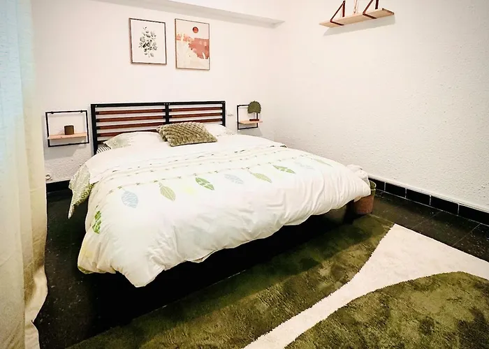 Les Fleurs De La Cité * Carcassonne