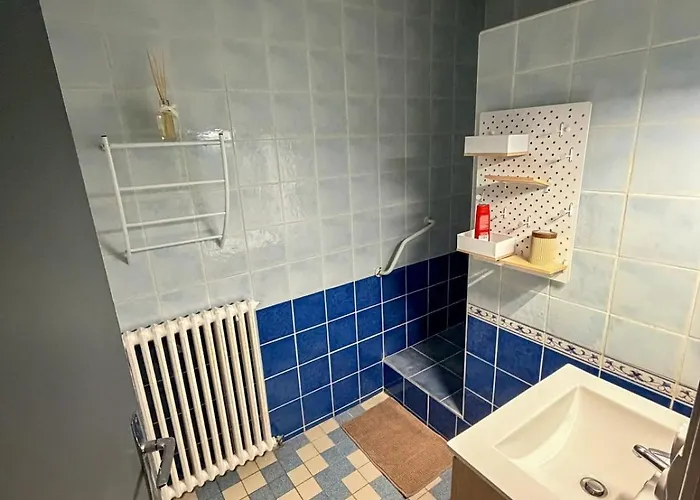 Les Fleurs De La Cité Carcassonne