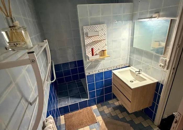 Les Fleurs De La Cite - T3 Parking Prive Et Terrasse Jardin Prive Διαμέρισμα